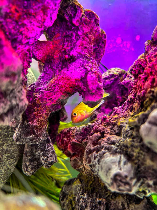 Aqua Relaxing Cube - Image 6