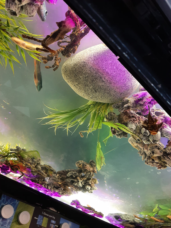 Aqua Relaxing Cube - Image 8